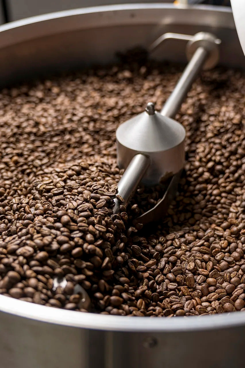 Dalakon Whole Bean Robusta Coffee 500g Italian Style Espresso Best Price Bulk Pack From Vietnam in Bag