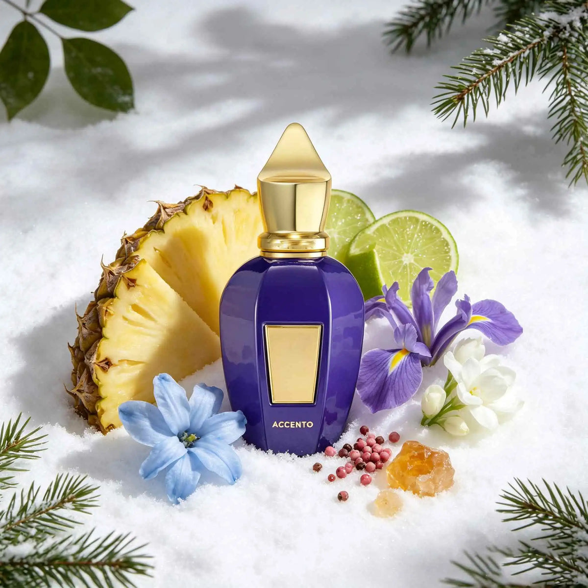 Accento Eau De Parfum 100Ml,Floral Chypre Scent.Suitable For Work, Date And Many Occasions.Fruity, Long-Lasting,Perfect Exquisite Gift For Your Loved Ones And Friends.