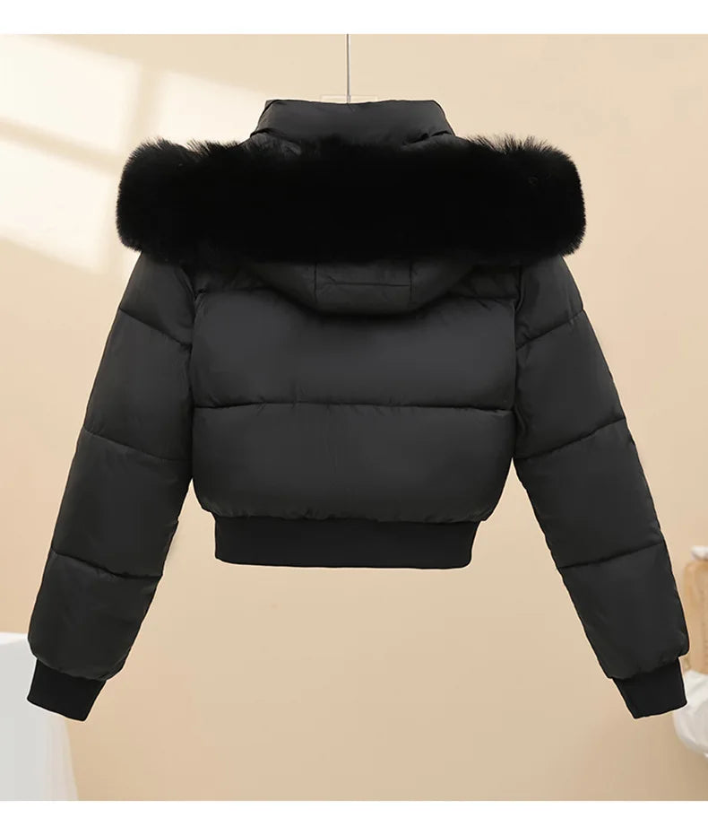Detachable Hat Plush Warm Jacket Long Sleeve Loose Hooded Short Women's Parka Big Fur Collar Zippers Design Design Coat 2026 New