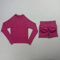 2 Piece Sports Set Women Workout Long Sleeve Top Seamless Shorts Sets Quick Dry Stretch Gym Fitness Running Yoga Athletic Outfit