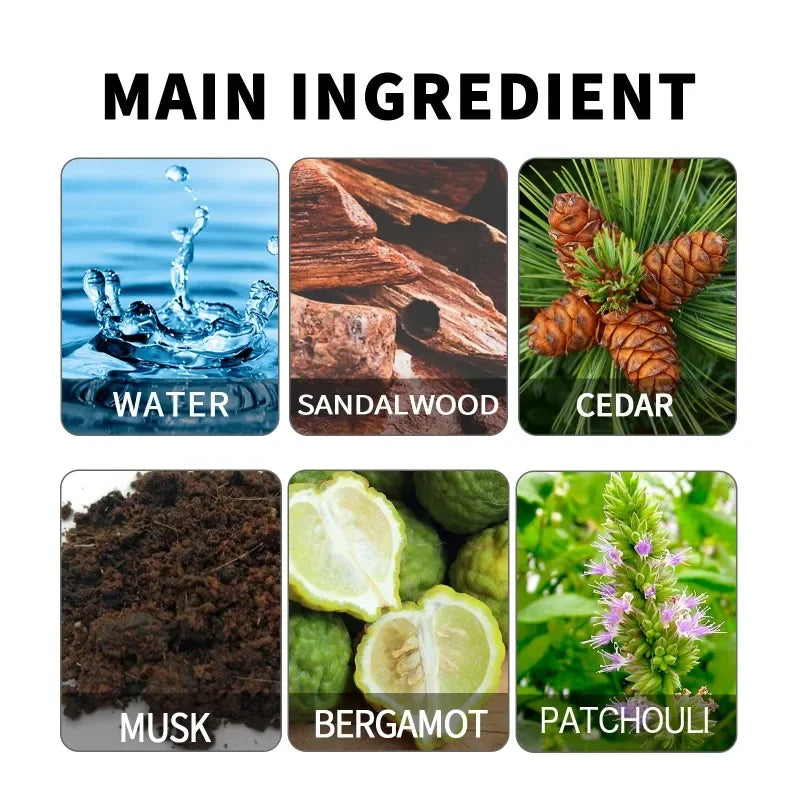 24H Long Lasting Pheromone Perfume For Men High Concentration Strong Attraction Cologne Fragrance Enhance Intimacy For Dating