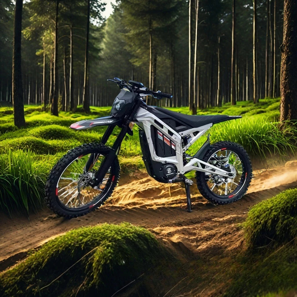 Europe Overseas Electric Vehicle Woodway Mountain Off-Road Motorcycle Light Peak Electricbike