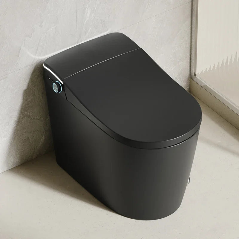 Modern Bathroom Smart Toilet Black Ceramic Automatic Electronic Control Bidet Wc Toilet
