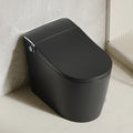 Modern Bathroom Smart Toilet Black Ceramic Automatic Electronic Control Bidet Wc Toilet
