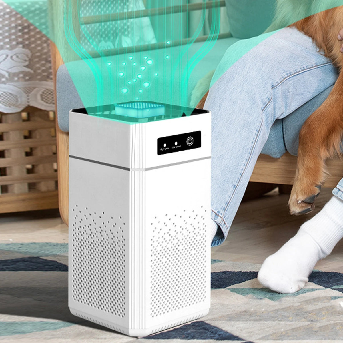 Adjustable Odor Eliminator 3 Modes Household Silent Purifiers Intelligent Indoor Negative Ion Purifier for Office & Home Car