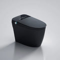 Matte Black Bidet Floor Smart Toilet S Trap Toilets With Bidet Ceramic Wc