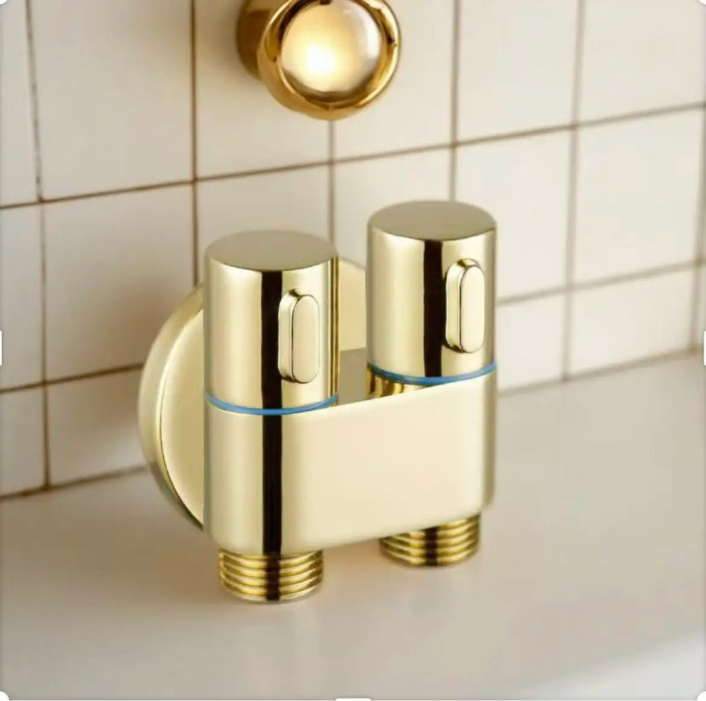 Premium toilet spray gun with gold finish, wall mounted, equipped with handheld bathtub sprayer and 2m hose dual spray