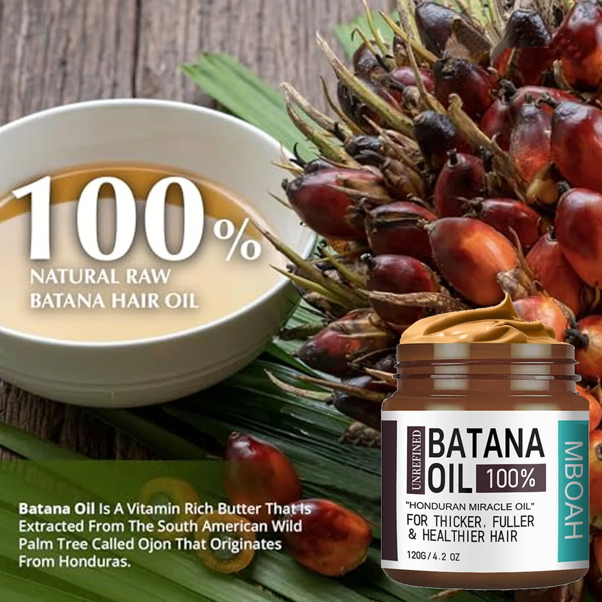 100% Batana Oil from Honduras - Get Fuller, Thicker, Healthier Hair - Great Men Conditioner Haircare Silky - Hair Nutrition Oil