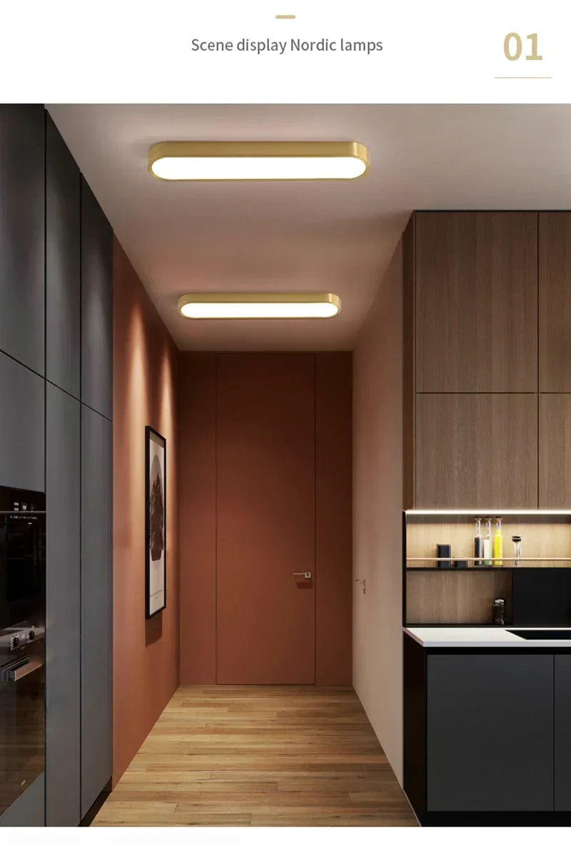 Nordic LED Ceiling Lamp Indoor Lighting Home Decoration For Living Room Bedroom Dining Table Cloakroom Corridor Cloakroom Light