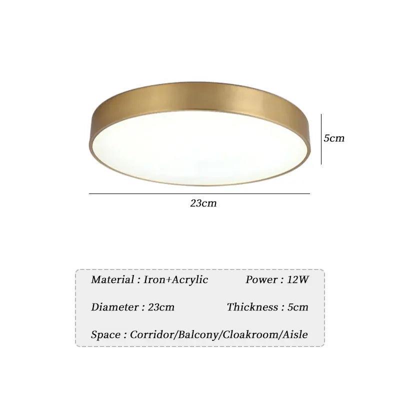 Modern LED Aisle Ceiling Light Lamps For Bedroom Corridor Garage Cloakroom Balcony Indoor Lighting Fixtures Simple Golden Round