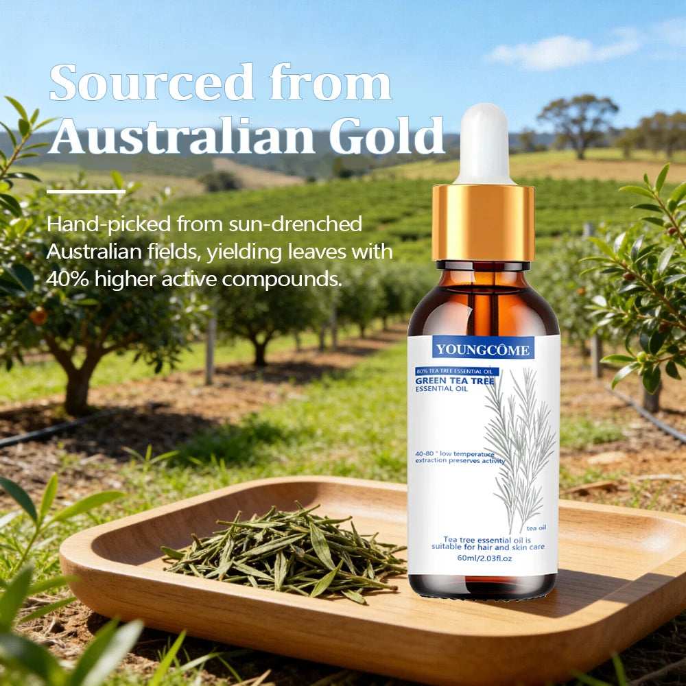 YOUNGCOME Pure Tea Tree Essential Oil - Green Tea Infused Natural Hair & Skin Care Solution for Daily Hydrating & Refreshing Car