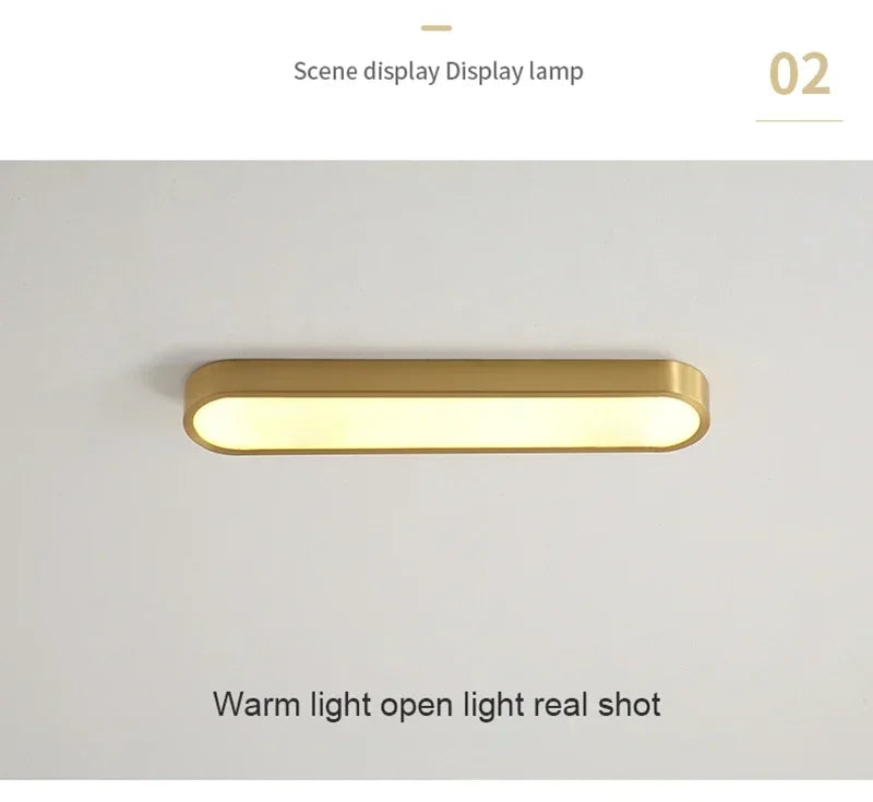 Nordic LED Ceiling Lamp Indoor Lighting Home Decoration For Living Room Bedroom Dining Table Cloakroom Corridor Cloakroom Light
