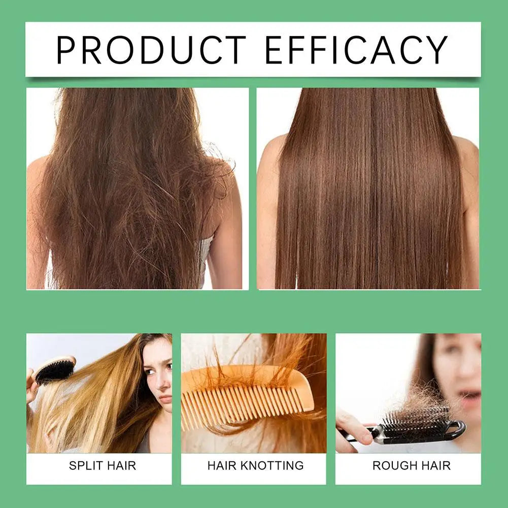 Hoegoa Rosemary Hair Shampoo Volumizing and Thickening Strengthening and Oil Control Nourishes and Repairs Hair Oil Adds Volume