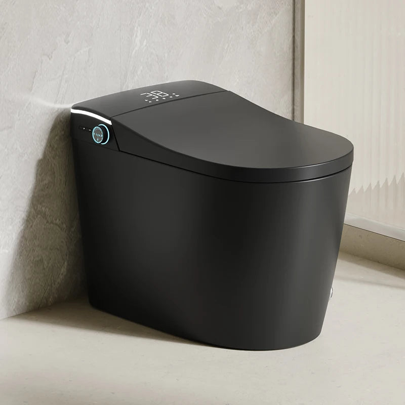 Modern Bathroom Smart Toilet Black Ceramic  Electronic Control Bidet Toilet