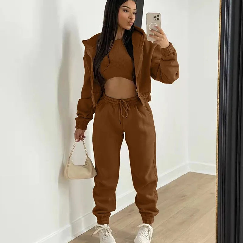Casual Zipper Set Full Length British Style Elegant Commuting with Winter Long Sleeve Regular Sleeve Vest Plus Jacket Women Sets