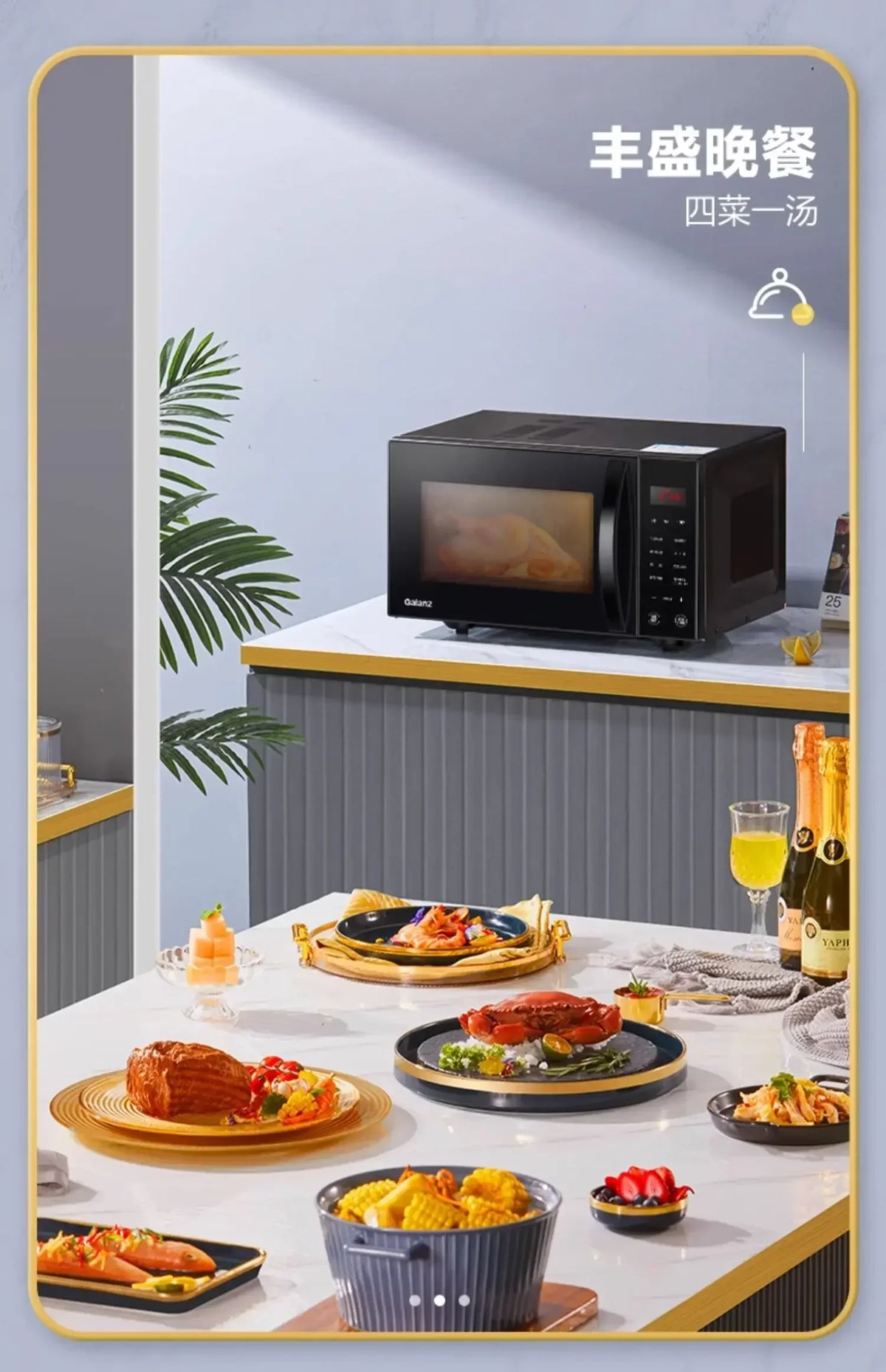220V Grainfree Stainless Steel Microwave Oven with Integrated Steamer and Bake oven - Home Use Microwaves A