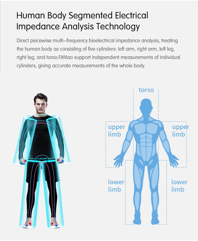 2025 Newest Body Fat and Muscle Analyzer With Bioimpedance Machine With Printer Bioelectrical Impedance Analysis