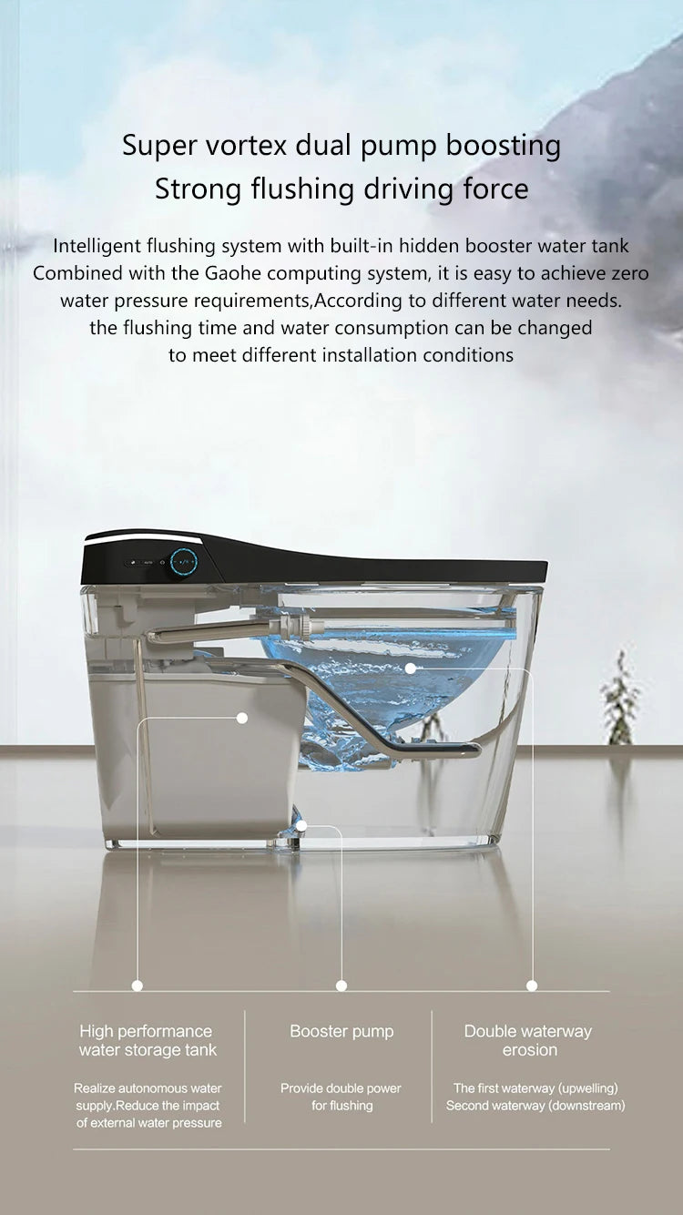 Modern Bathroom Smart Toilet Black Ceramic Automatic Electronic Control Bidet Wc Toilet