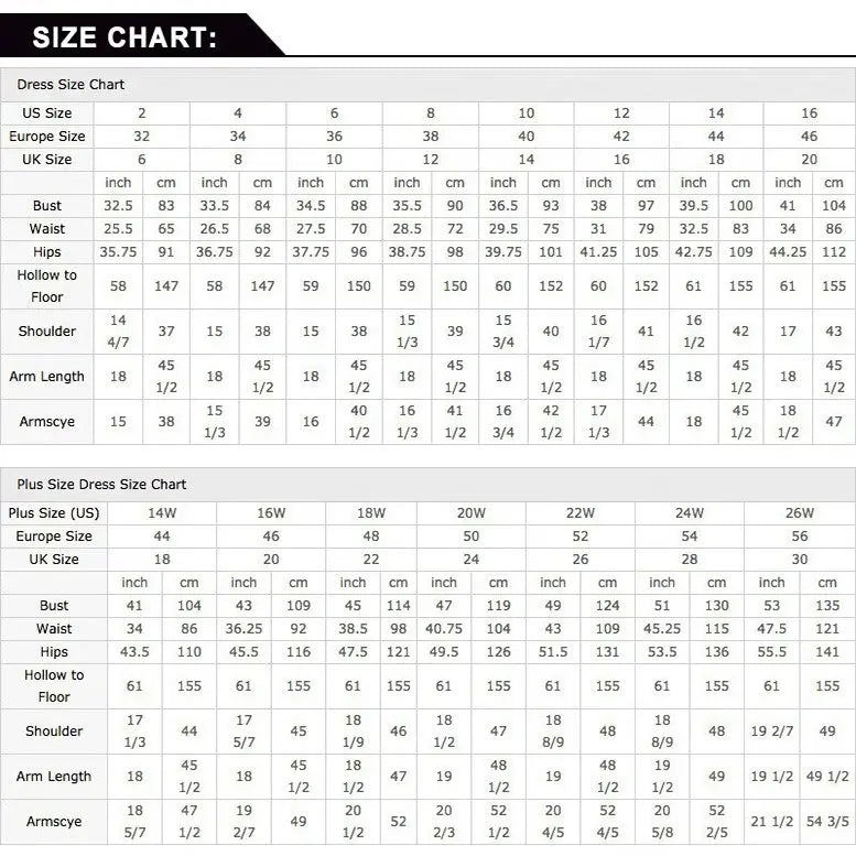 New Arrival See Thru Ruffles Trimmed Long Formal Dresses High Collar Full Sleeves Illusion Women Dress To Photoshoots  Costumes
