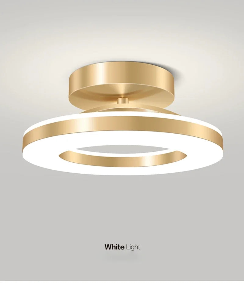 Nordic LED Ceiling Lamp Indoor Lighting Home Decoretion for Bedroom Dining Table Living Room Balcony Corridor Ceiling Light