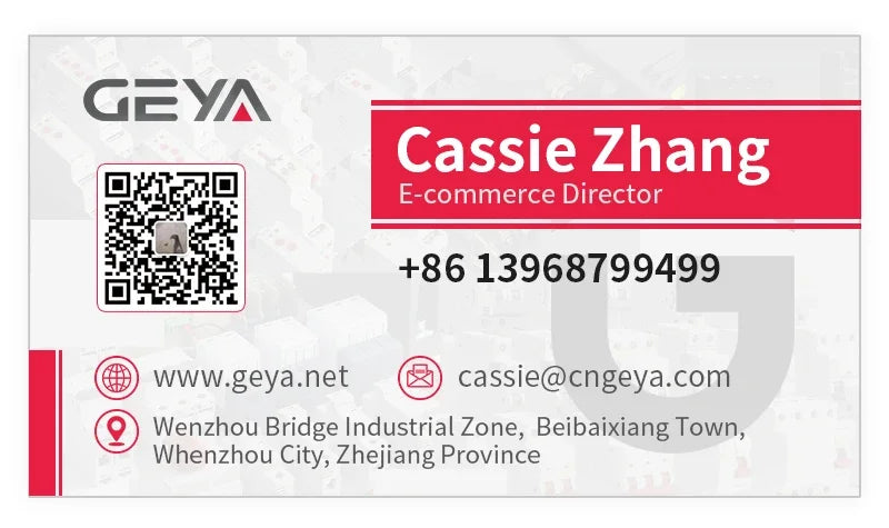GEYA G2R Din Rail 2P 63A ATS Dual Power Automatic Transfer Switch Electrical Selector Switches Uninterrupted Power 63A 110V 220V