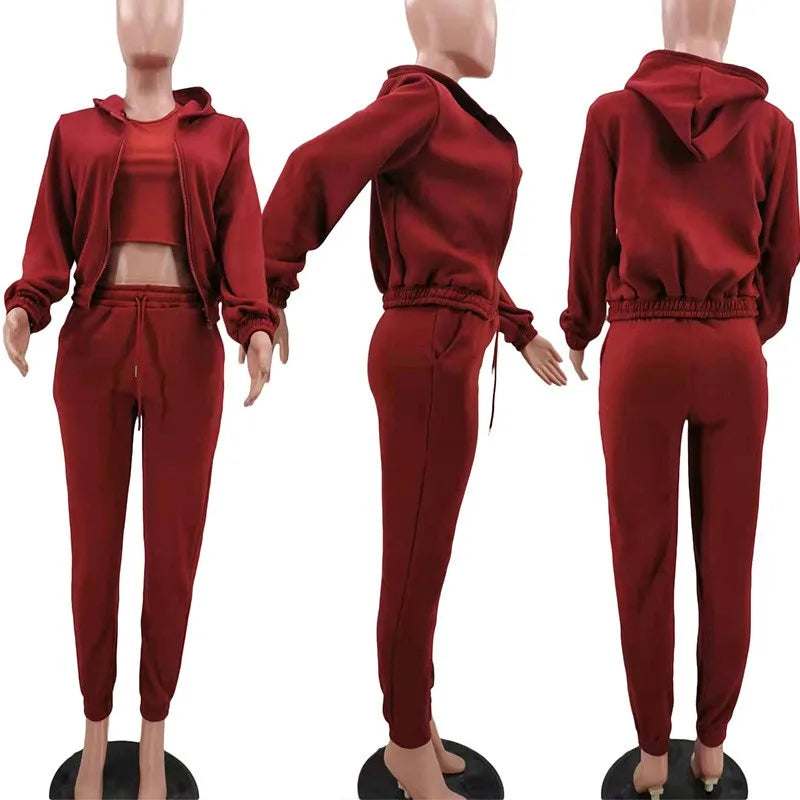 Casual Zipper Set Full Length British Style Elegant Commuting with Winter Long Sleeve Regular Sleeve Vest Plus Jacket Women Sets