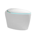 Fully automatic smart toilet, slender bowl seat with instant hot water tank, heating remote control - all features included