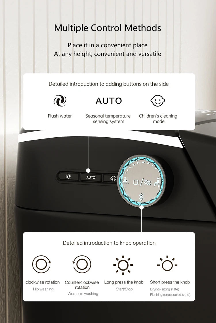 Modern Bathroom Smart Toilet Black Ceramic Automatic Electronic Control Bidet Wc Toilet