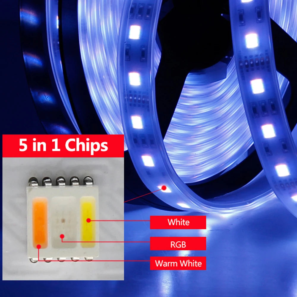 5in1 RGB CCT Led Strip Light 5m 10m 050 SMD 5 in 1 RGBW RGB+CCT CW+RGB+WW Super Bright Flexible LED Tape Lights 6pin 24V