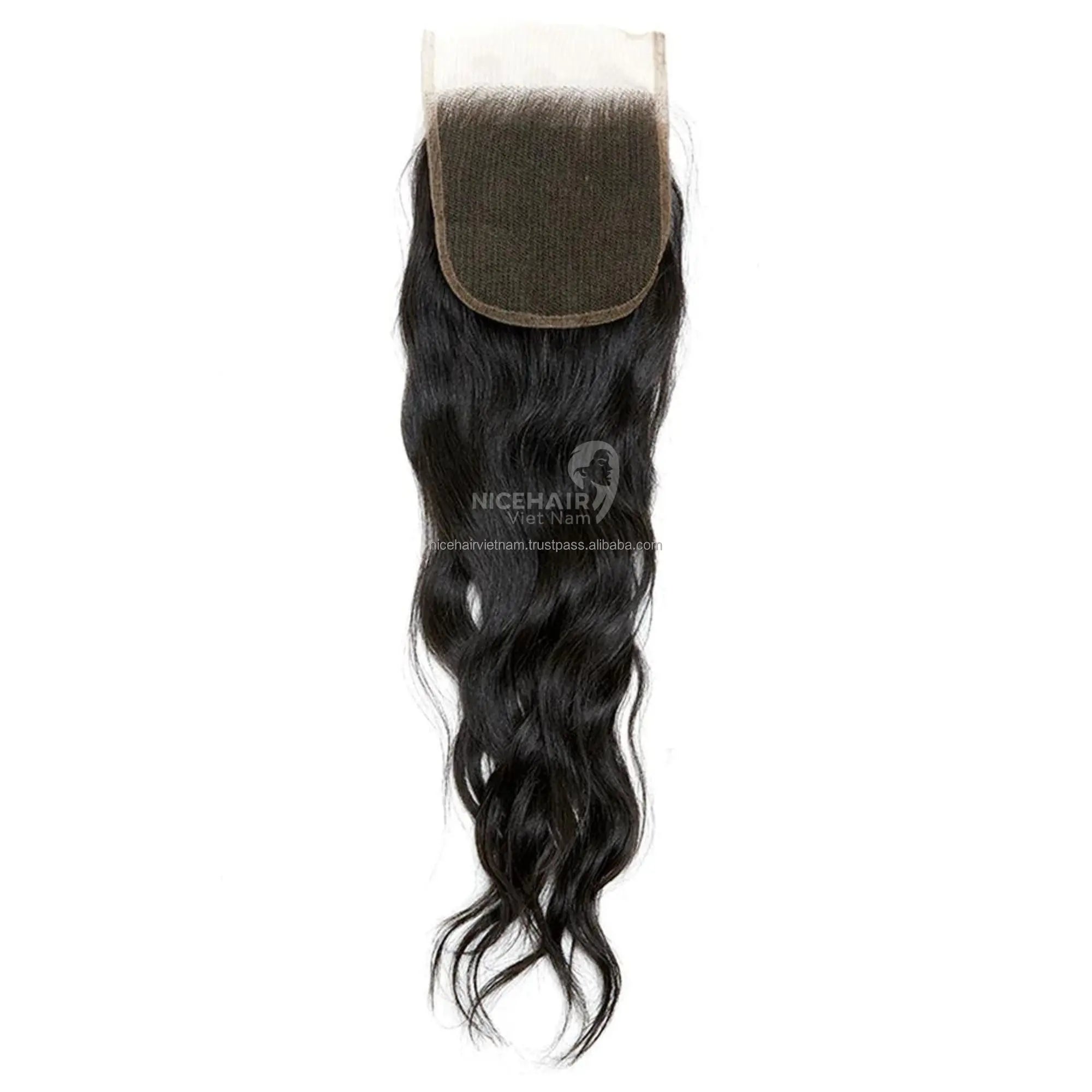 Human Hair Extensions Closure Hair Cuticle Aligned Hair Lace Closure Wigs Wholesale Products Sale Vietnamese Original 2025