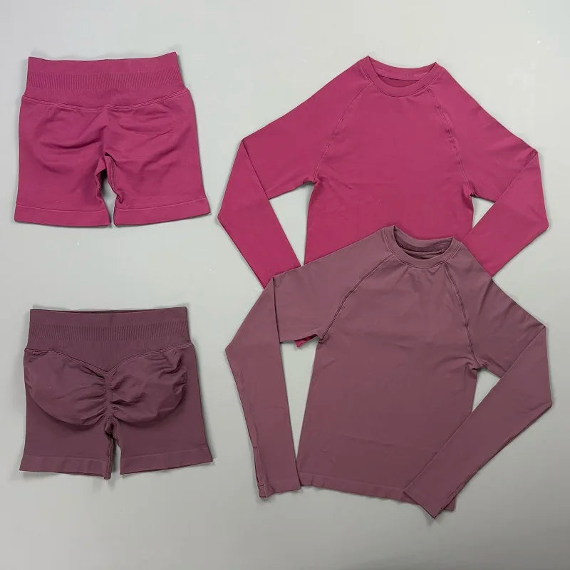 2 Piece Sports Set Women Workout Long Sleeve Top Seamless Shorts Sets Quick Dry Stretch Gym Fitness Running Yoga Athletic Outfit