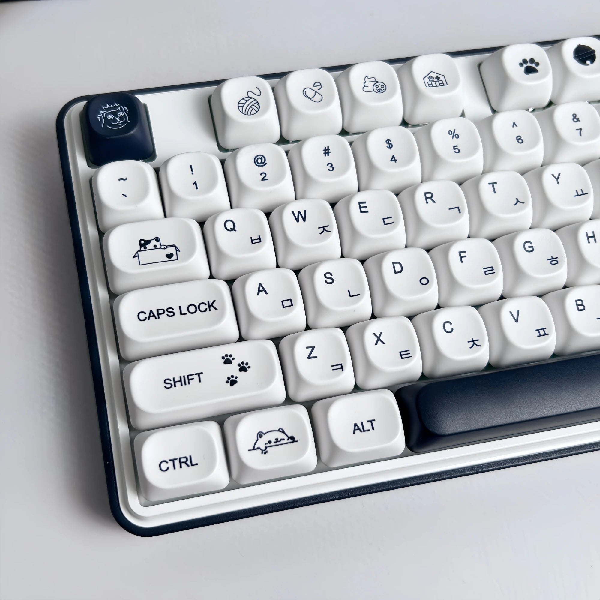 Strange Cat Cute Keycap English/Russian/Korean PBT MOA Minimalist Black and White Keycaps Lovely Kitten Mechanical Keyboard Caps