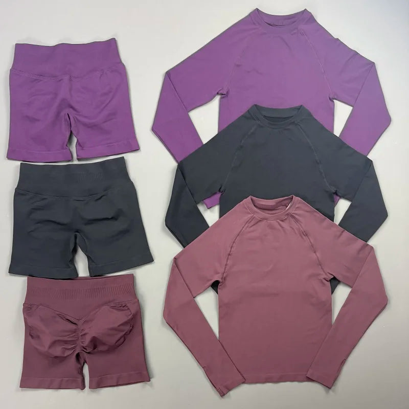 2 Piece Fitness Outfit Women Raglan Long Sleeve Crew Neck Top Hip Shaping Scrunch Shorts Stretch Soft Dance Gym Workout Set