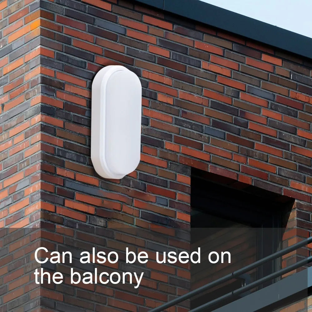 Oval Wall Lighting 12W Modern LED Outdoor Surface Mounted Waterproof Bathroom Porch Wall Sconce Aisle