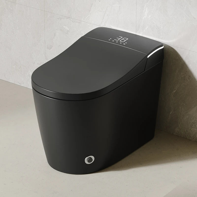Modern Bathroom Smart Toilet Black Ceramic  Electronic Control Bidet Toilet