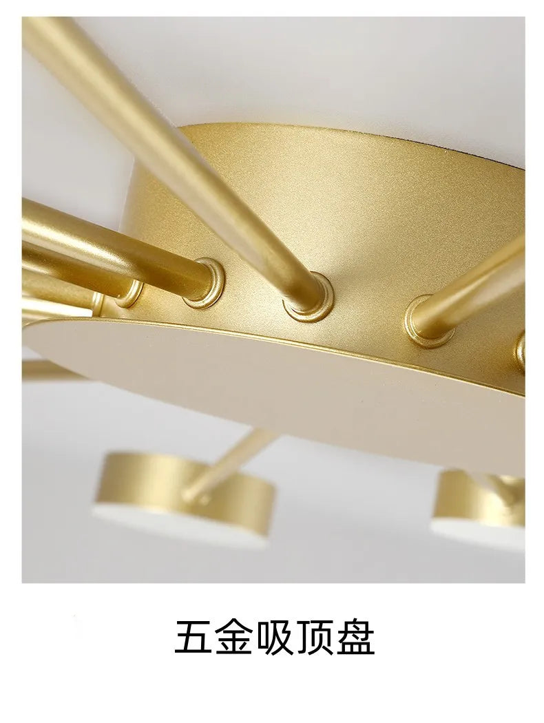 Nordic LED Ceiling Indoor Lighting Home Lamps Living Room Dining Bedroom Cloakroom Decoration Chandelier Lights Modern Wall Lamp