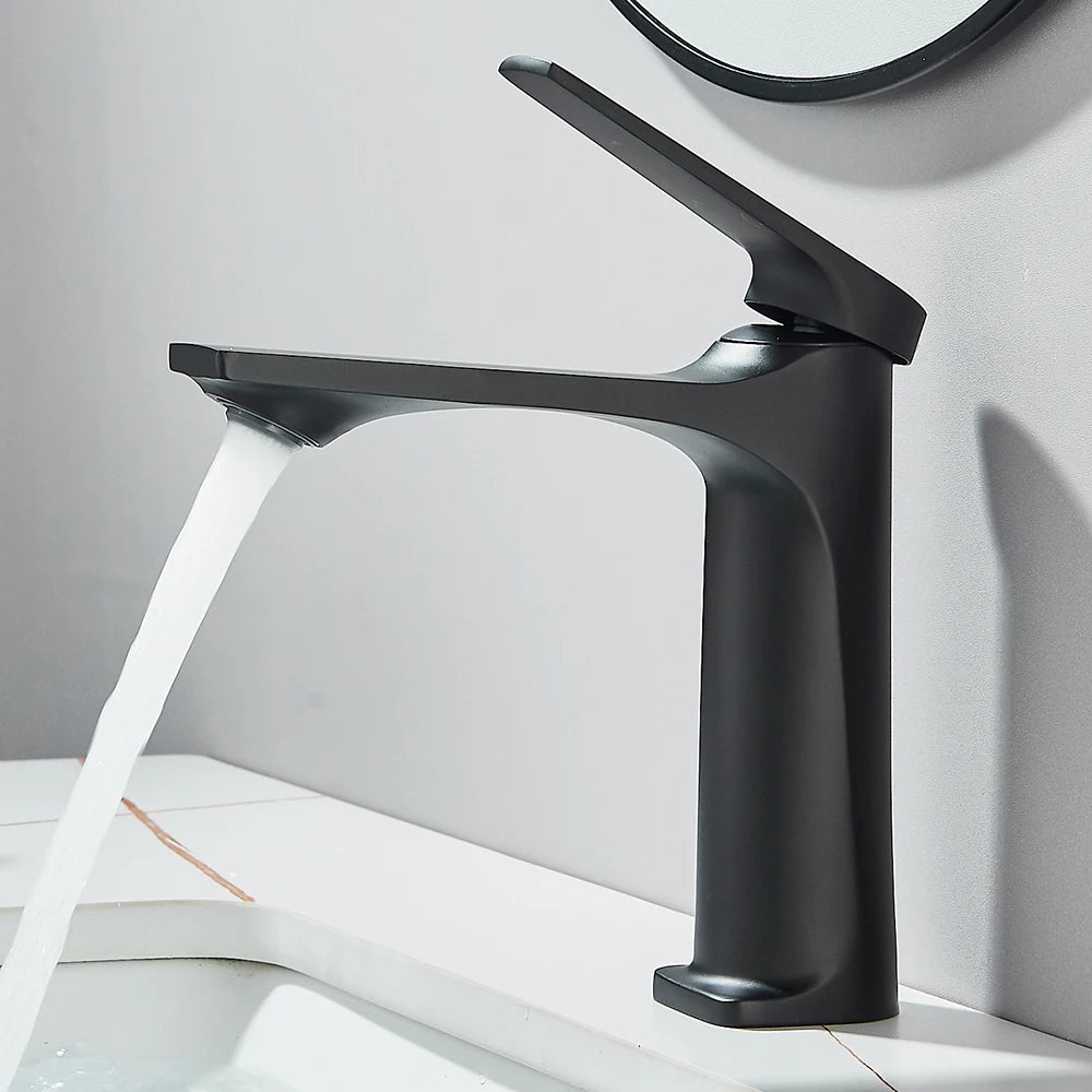 Black Bathroom Sink Faucet for Two Hole Kitchen Stainless Steel Washbasin Shower Faucet Accessories Hot & Cold Water Mixer Tap