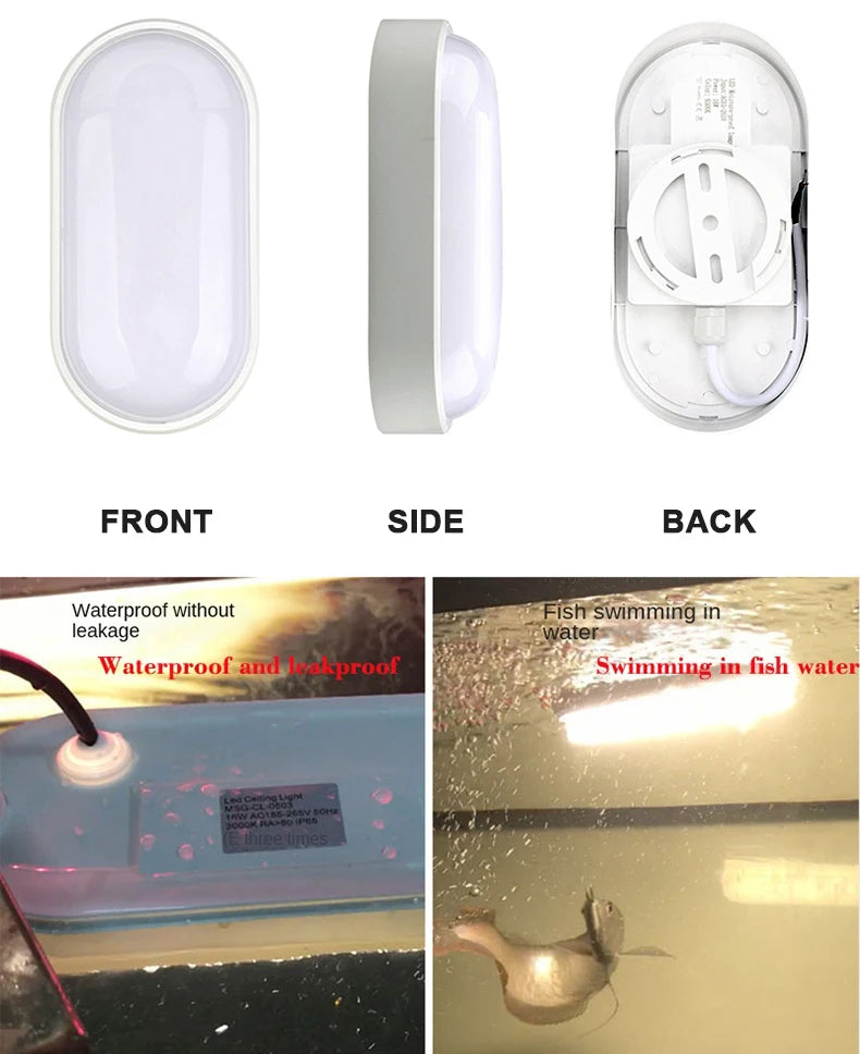 Oval Wall Lighting 12W Modern LED Outdoor Surface Mounted Waterproof Bathroom Porch Wall Sconce Aisle