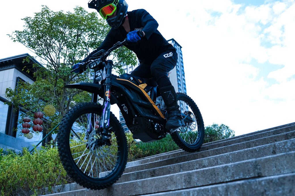 79BIKE Falcon Pro Electric Dirt Bike High Power 8000W Off-road MTB Electric Enduro Motorcycle