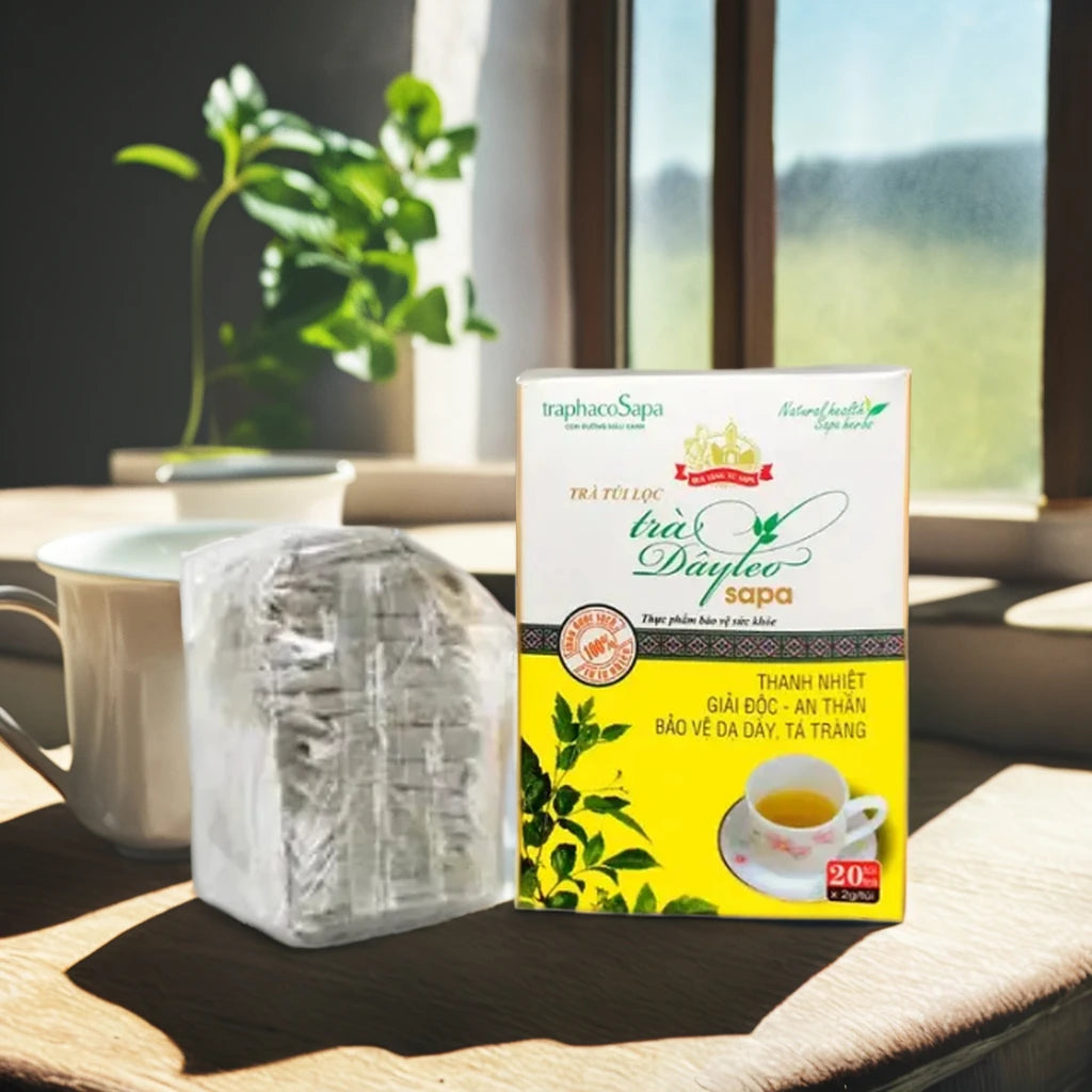 High Quality Tea Bag Ampelopsis Cantoniensis Herbal Health Tea 100% Natural Herbal Tea Stomach Support