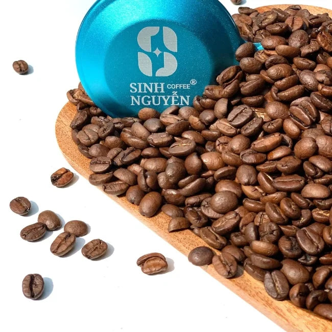 Vietnamese Robusta Premium Grade Green Coffee Honey Process 50kg/bag for Espresso and Instant Use