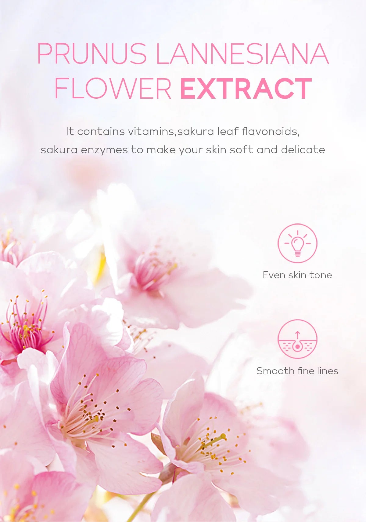 Cherry Blossom Exfoliating Gel Deep Cleaning Moisturizing Tender Face Body Cleansing Repair Facial Scrub Skin Care Products 60g