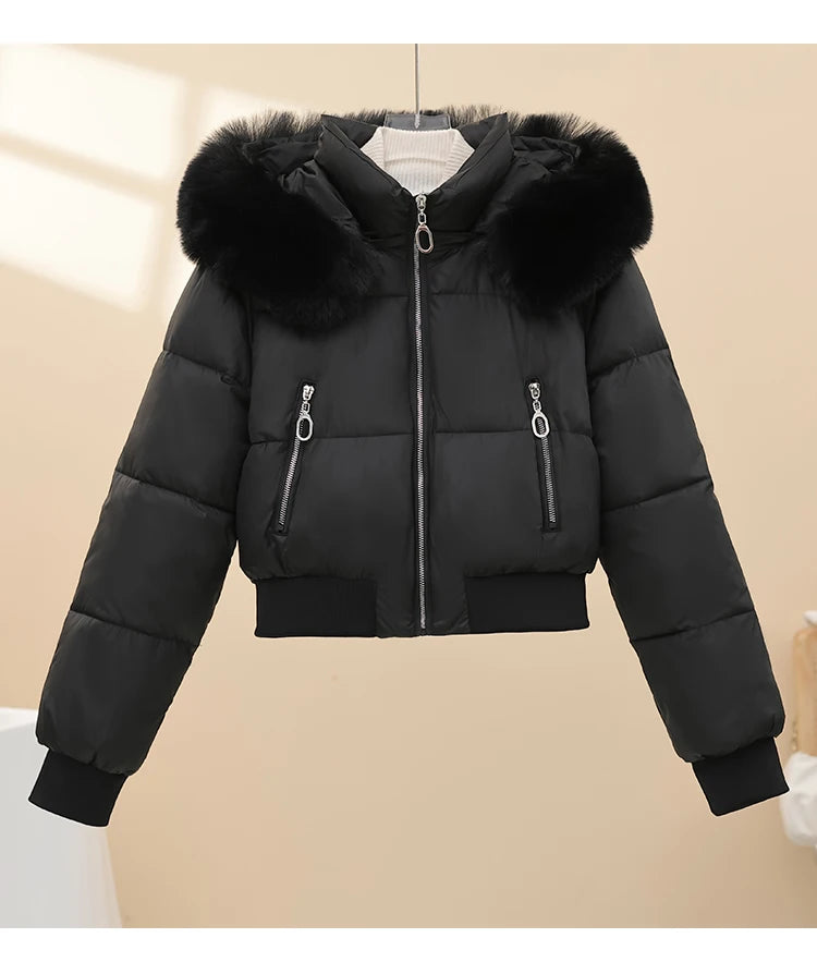 Korean Style Short down Cotton Jacket Women's Thickened Large Fur Collar Hooded Coat Slim Fit Commute Element  Color
