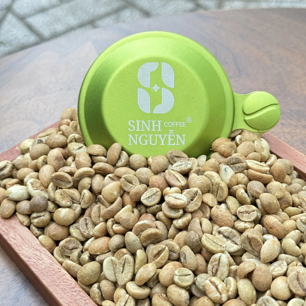 Vietnamese Robusta Premium Grade Green Coffee Honey Process 50kg/bag for Espresso and Instant Use