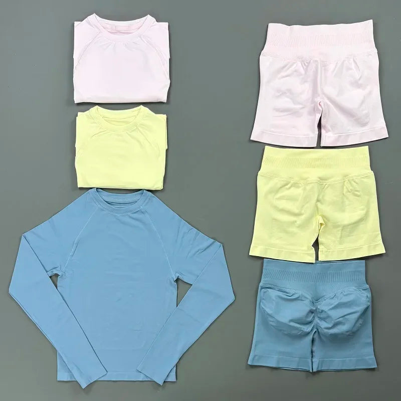 2 Piece Sports Set Women Workout Long Sleeve Top Seamless Shorts Sets Quick Dry Stretch Gym Fitness Running Yoga Athletic Outfit