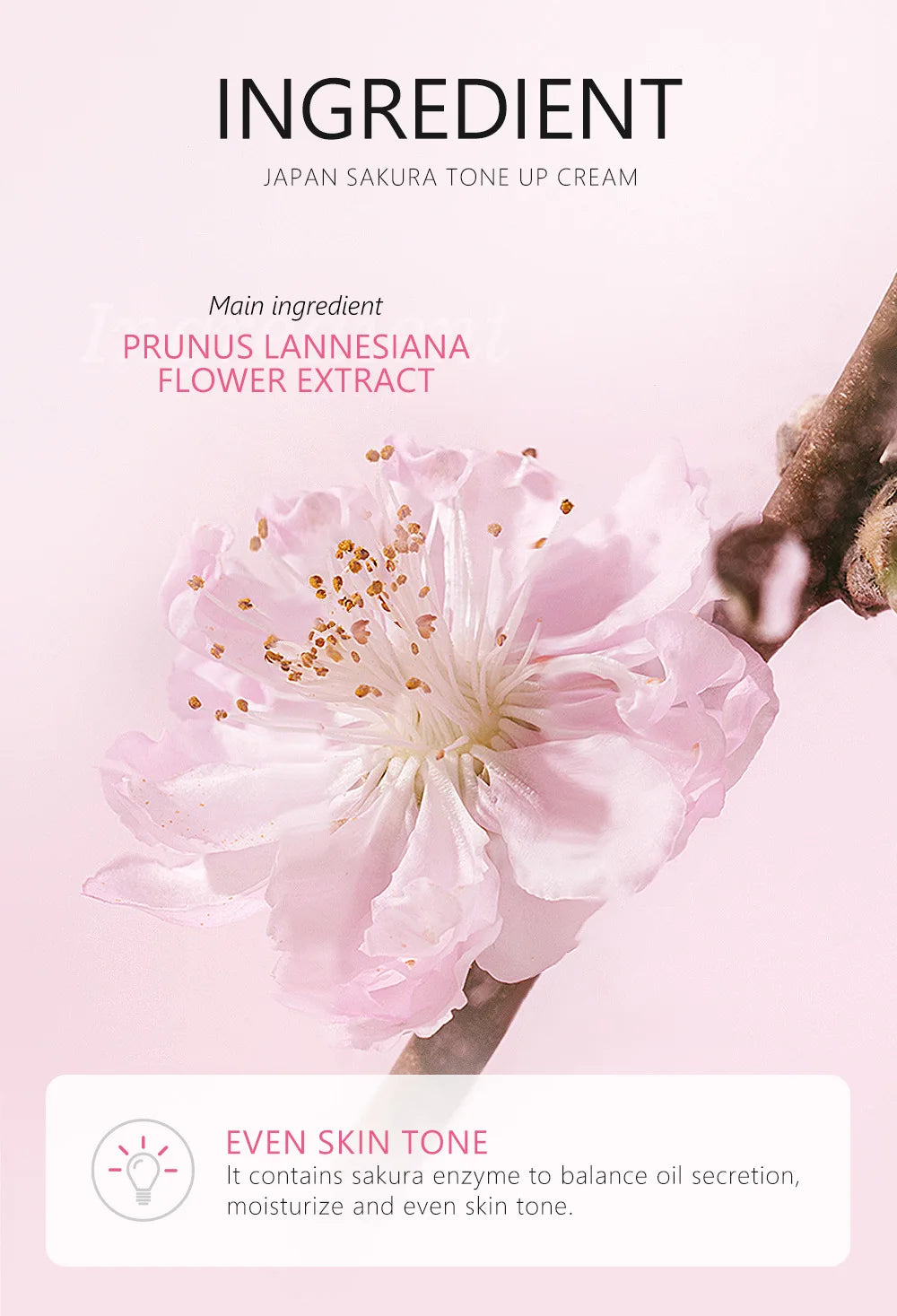 LAIKOU Japan Sakura Original Tone up Cream Moisturizing Nourishing Skin Face Cream Brightening Cream Face Skin Care 60g
