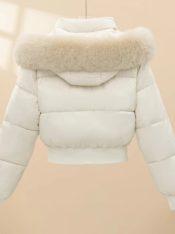 Korean Style Short down Cotton Jacket Women's Thickened Large Fur Collar Hooded Coat Slim Fit Commute Element  Color