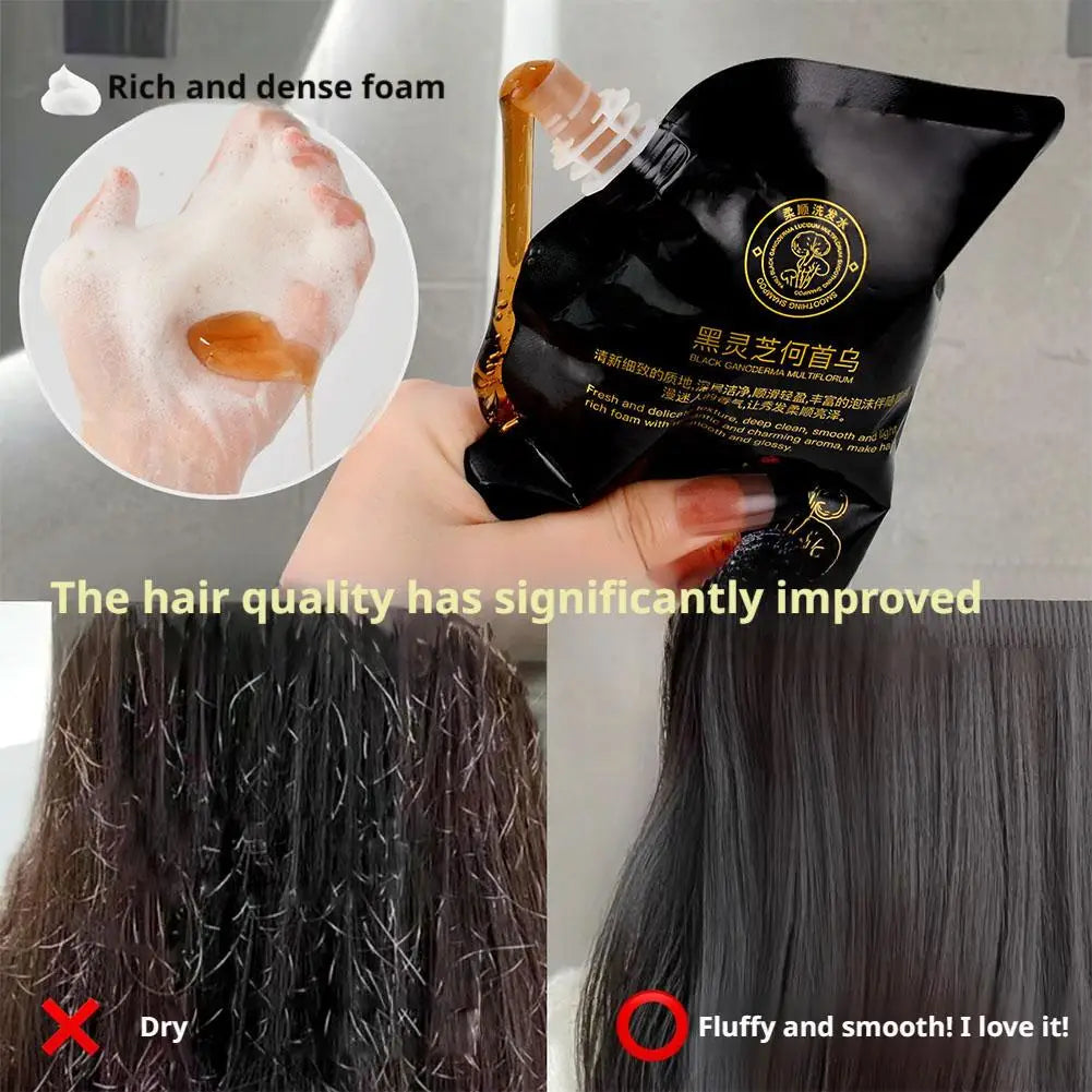Black Reishi And Polygonum Shampoo Root Activator Shampoo for Men & Women Strengthening & Volumizing for Fuller-Looking Hair