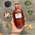 500ml Anti Hair Loss Shampoo Ginger Ingredient Strengthening Hair Root Nourishing Dryness Hair Damaged Repair Thicker Treatment