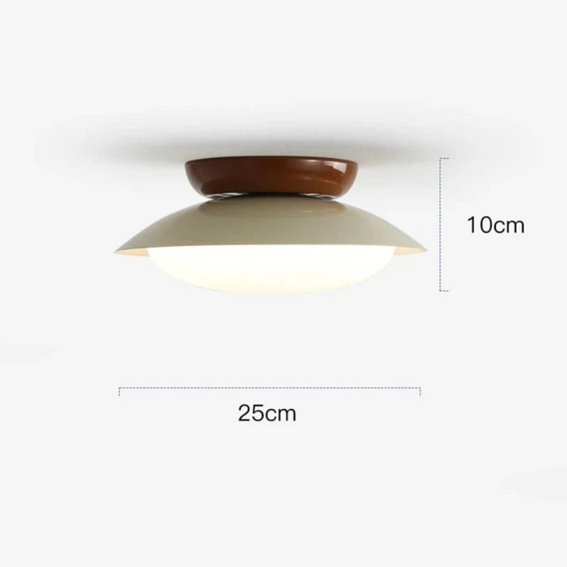 Modern New LED Ceiling Lamp Indoor Home Living Room Dining Room Study Bedroom Lighting